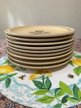 Pfaltzgraff Cream and Brown Rim Ceramic Salad Plates - Village Rustic 9 Plates